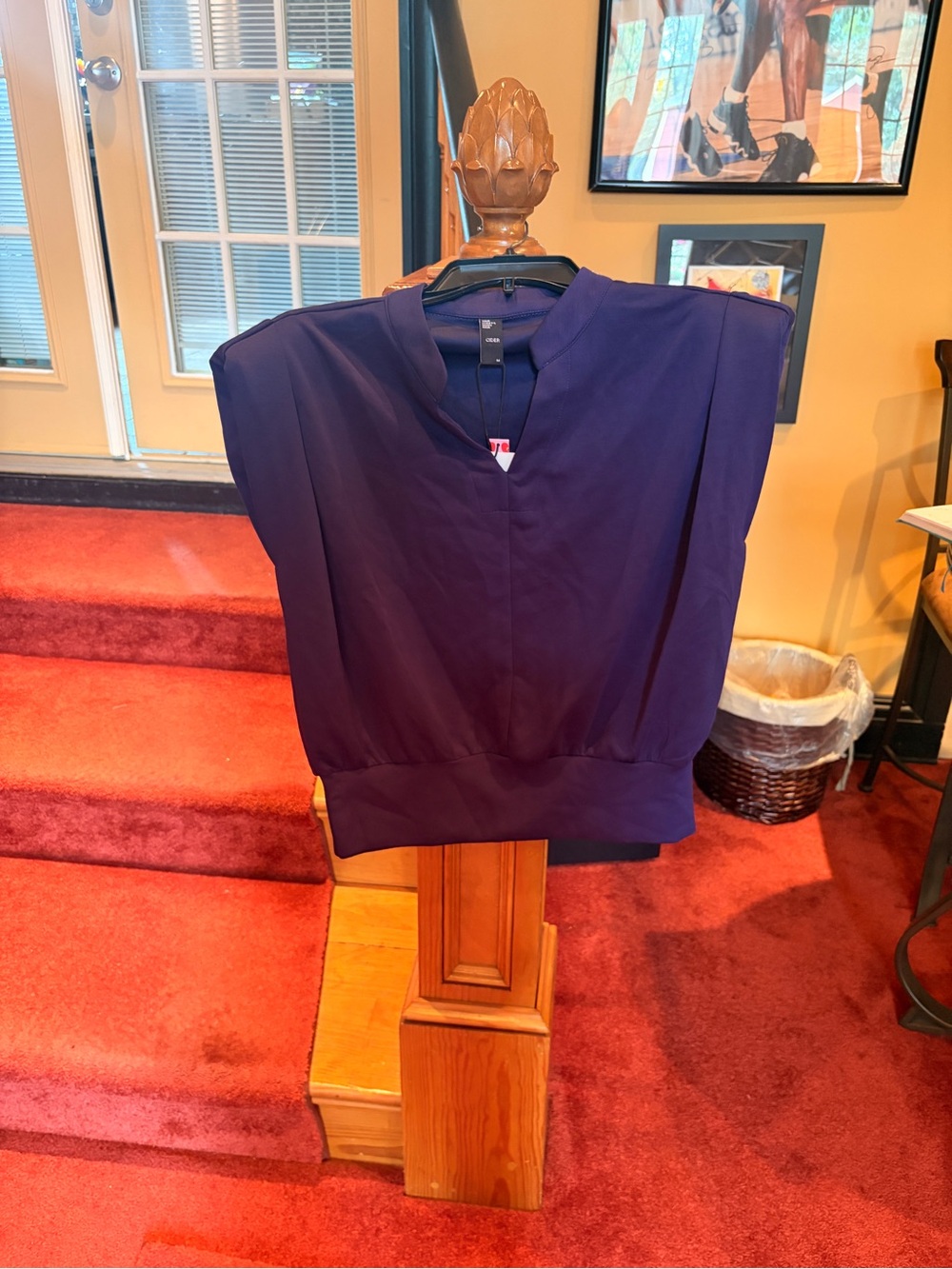 Women's V-Neck Sleeveless Top — Purple